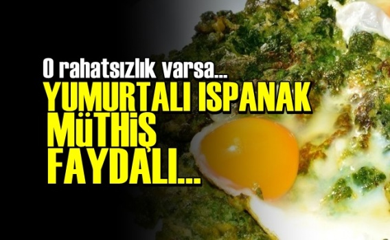 O Rahatsızlık Varsa Yumurtalı Ispanak Yiyin!