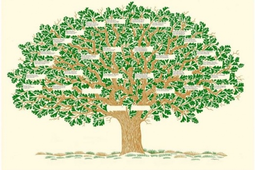 Soy Ağacında Eski Tarihlere Nasıl Gidilir?