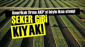 AKP'den ABD'li Firmaya Müthiş Kıyak!
