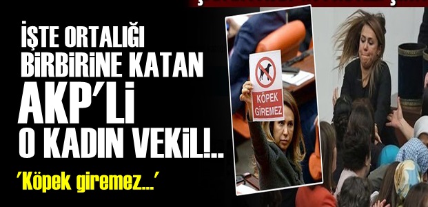 ENGELLİ VEKİL PAVEY'E BİLE ACIMADI!..