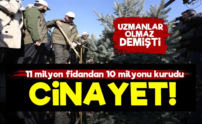 AKP'nin 'Fidan Şovu' Cinayete Dönüştü!