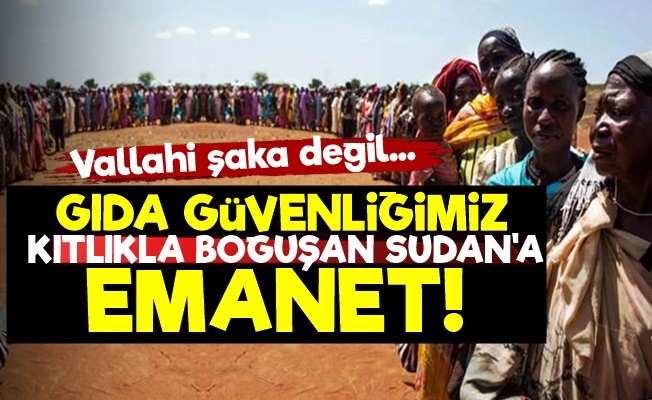 Türkiye'nin Gıda Güvenliği Sudan'a Emanet!
