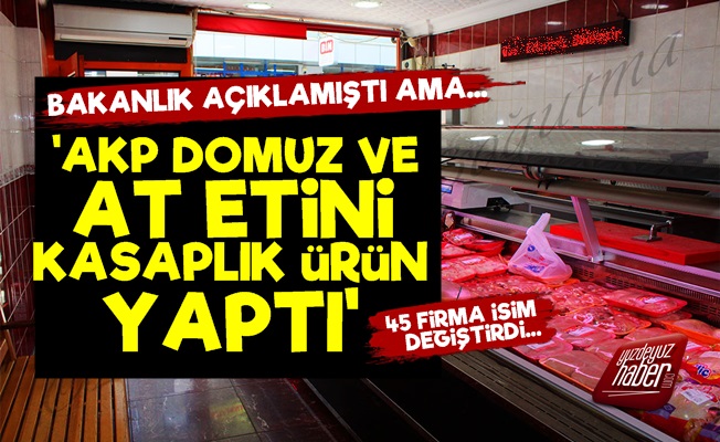 'AKP Domuz Ve At Etini Kasaplık Ürün Yaptı'