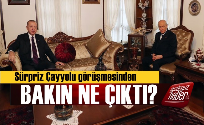 Erdoğan-Bahçeli Görüşmesinden Bakın Ne Çıktı?