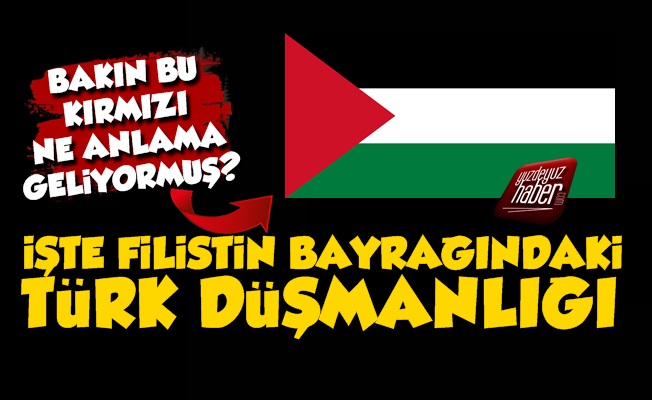 İşte Filistin Bayrağındaki Türk Düşmanlığı