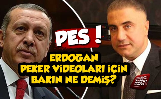 Erdoğan Sedat Peker Videoları İçin Bakın Ne Demiş?