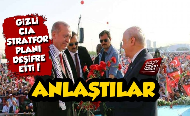 'Gizli CIA' Stratfor: Erdoğan ve Bahçeli Anlaştı...