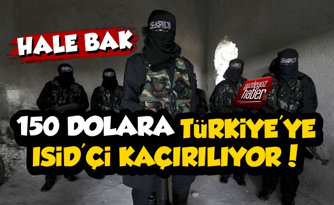 150 Dolara Türkiye'ye IŞİD'çi Kaçırılıyor!