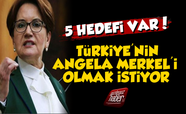 'Meral Akşener, Türkiye'nin Merkel'i Olmak İstiyor'