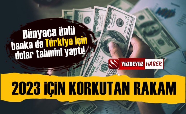 HSBC'den Türkiye İçin Korkutan Dolar Açıklaması