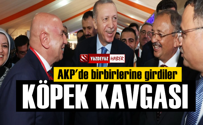 AKP'de köpek kavgası