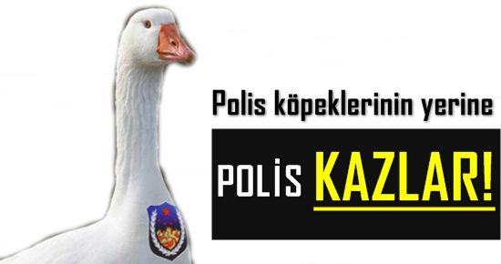 KARAKOLLARI 'POLİS KAZLAR' BEKLEYECEK...