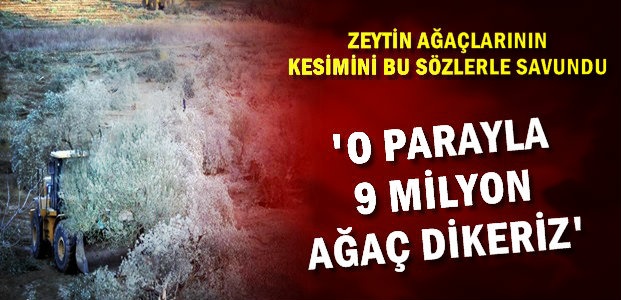 'NE VAR 9 MİLYON AĞAÇ DİKERİZ'
