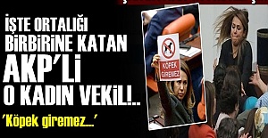 ENGELLİ VEKİL PAVEY'E BİLE ACIMADI!..