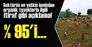 'ORGANİK DENİLEN TAVUKLARIN YÜZDE 95'İ...'