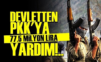VERGİLER PKK'YA AKMIŞ!..