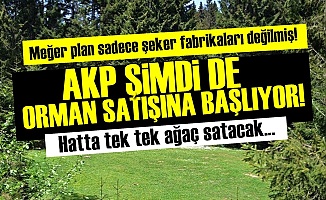 AKP'DEN YEPYENİ BİR TALAN FURYASI ADIMI!..
