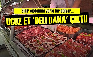 UCUZ ETTE 'DELİ DANA' SKANDALI!