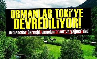 'AKP Ormanları TOKİ'ye Devrediyor'