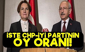 İşte CHP-İyi Parti'nin Oy Oranı!