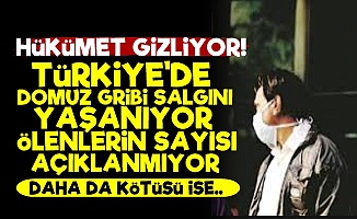 Türkiye'de Domuz Gribi Salgını!..
