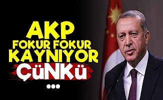 'AKP Fokur Fokur Kaynıyor...'