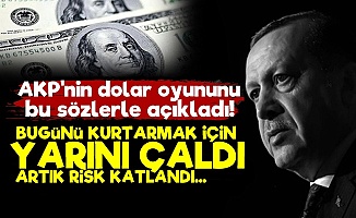 AKP'nin Dolar Oyununu Bakın Nasıl Anlattı!