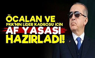 Erdoğan, Öcalan İçin 'Af Yasası' Hazırladı!