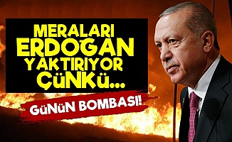 'Mera Yangınları Erdoğan Yüzünden...'