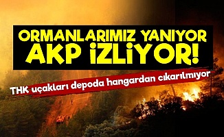 Ormanlarımız Yanıyor AKP Seyrediyor!