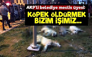 AKP'li Üye: Köpek Öldürmek Bizim İşimiz