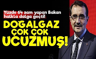 AKP'li Bakan: Doğalgaz Çok Ucuz...