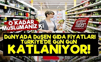 Gıda Dünyada Düşüyor Türkiye'de Katlanıyor!