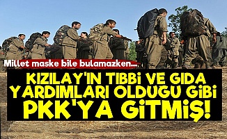 Kızılay'ın Yardımları PKK'ya Gitmiş!