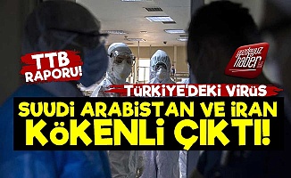 Türkiye'deki Virüs İki Ülke Kökenli Çıktı!