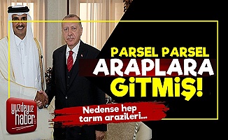 Türkiye Parsel Parsel Araplara Gitmiş!