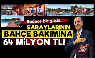 Erdoğan'ın Saraylarının Bahçelerine 64 Milyon TL!