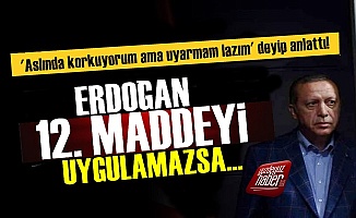 'Erdoğan 12. Maddeyi Uygulamazsa...'