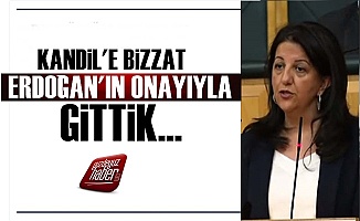 Pervin Buldan: Kandil'e Erdoğan'ın Onayıyla Gittik