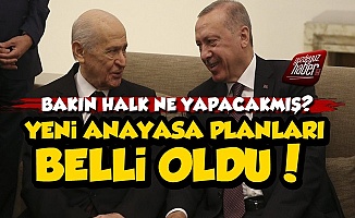 İşte Erdoğan-Bahçeli İkilisinin Yeni Anayasa Planı
