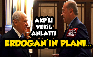 AKP'li Vekil Erdoğan'ın MHP Planını İfşa Etti