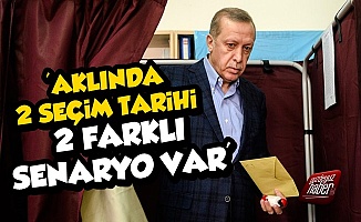 Erdoğan'ın Aklında 2 Seçim Tarihi, 2 Farklı Senaryo Var