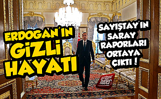 Sayıştay Raporları ile Erdoğan'ın Gizli Hayatı