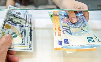 Dolar ve Euro'da Acı Gerçek