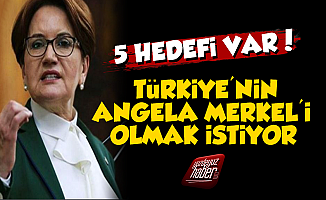 'Meral Akşener, Türkiye'nin Merkel'i Olmak İstiyor'