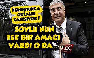 Sedat Peker Konuşuyor, Türkiye Karışıyor!