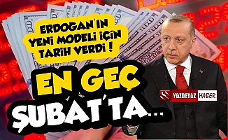 'Erdoğan'ın Yeni Ekonomik Modeli En Geç Şubat'ta...'