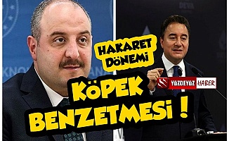 Mustafa Varank'dan Ali Babacan'a 'Köpek' Benzetmesi!