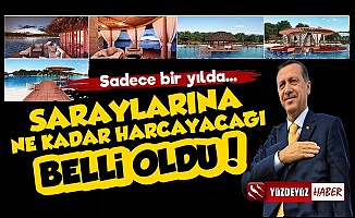 İşte Erdoğan'ın 2022 Yılında Saraylarına Harcayacağı Rakam!