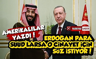 WSJ: Erdoğan Para Suudlar Söz İstiyor...